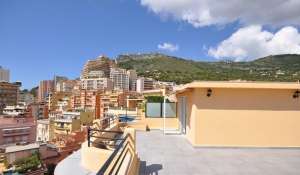 Rental Apartment Monaco