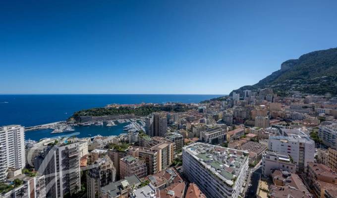 Rental Apartment Monaco