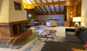 Rental Apartment Saanen