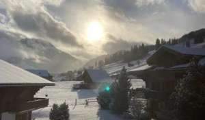 Rental Apartment Saanen