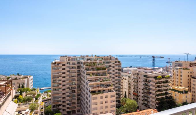 Sale Apartment Monaco