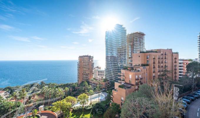 Sale Apartment Monaco