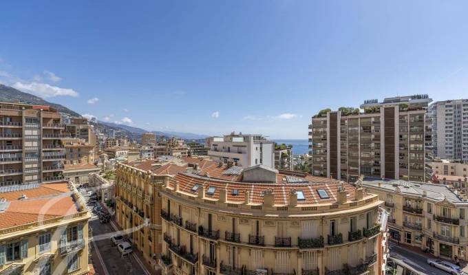 Sale Apartment Monaco