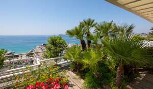 Seasonal rental Apartment Cannes