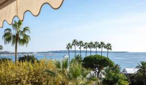 Seasonal rental Apartment Cannes