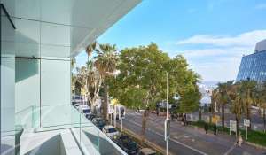 Seasonal rental Apartment Cannes