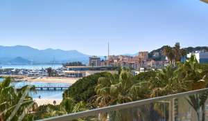 Seasonal rental Apartment Cannes