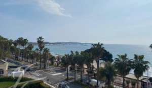 Seasonal rental Apartment Cannes