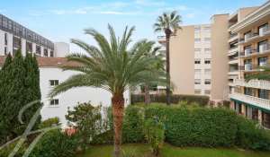 Seasonal rental Apartment Cannes