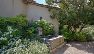 Seasonal rental House Châteauneuf-Grasse