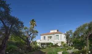 Seasonal rental Property Antibes