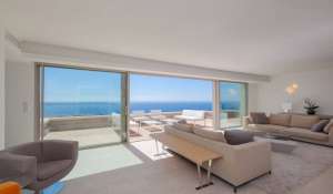 Seasonal rental Property Golfe-Juan