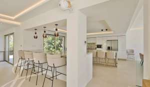 Seasonal rental Villa Antibes