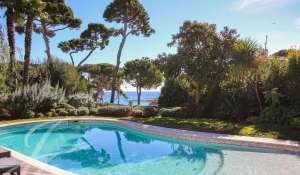 Seasonal rental Villa Antibes