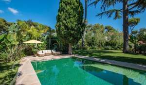 Seasonal rental Villa Antibes